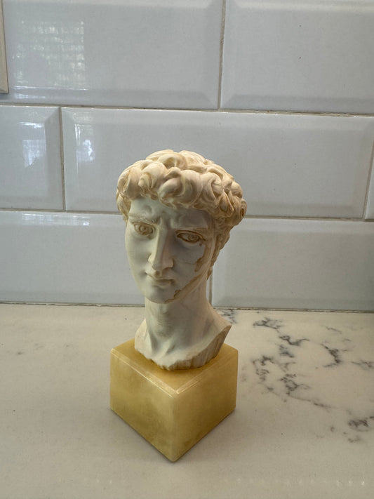 Vintage Bust Of David Signed By A. Giannelli. Made In Italy