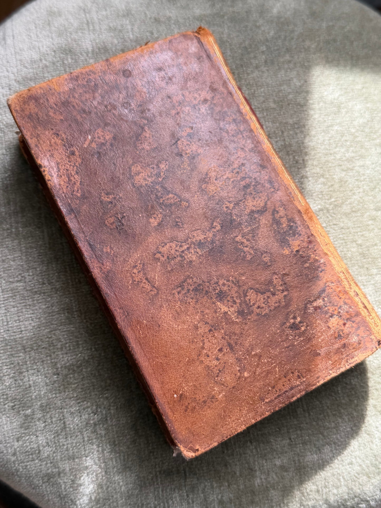 Le Chansonnier Des Grafes 1811