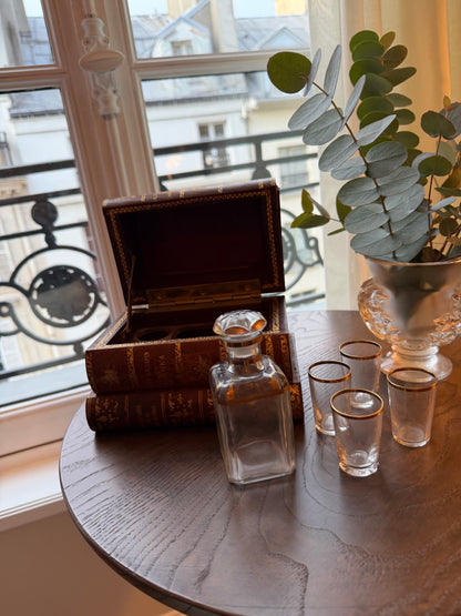 French Antique Leather Bound Faux Book Tantalus with Decanter & 4 Glasses