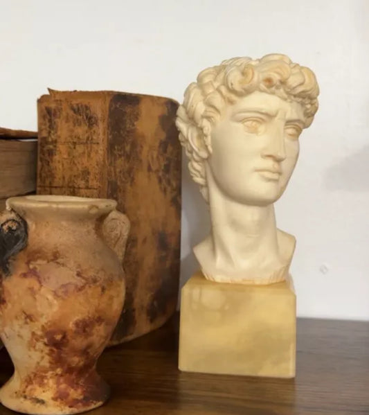 Vintage Bust Of David Signed By A. Giannelli. Made In Italy